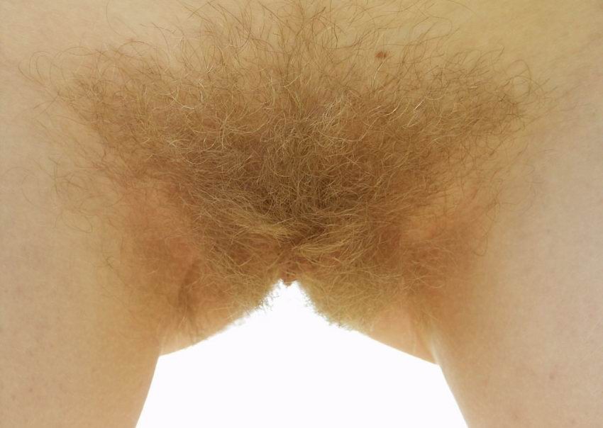 Naked Blonde Hairy Pussy
